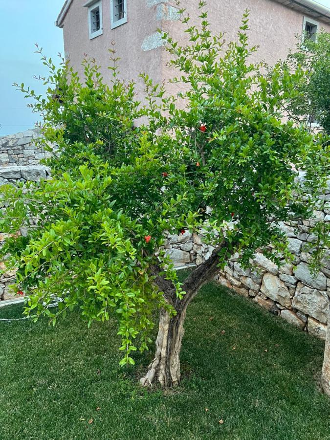 Appartamenti Minerva San Pelagio Dış mekan fotoğraf